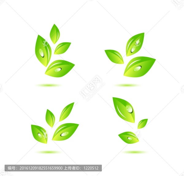 綠色自然葉概念