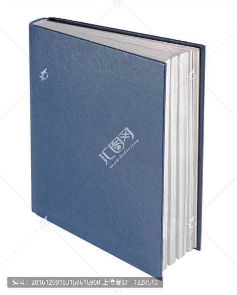 藍(lán)皮書；孤立