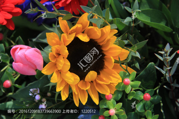 黃色；粉紅色和紅色花束