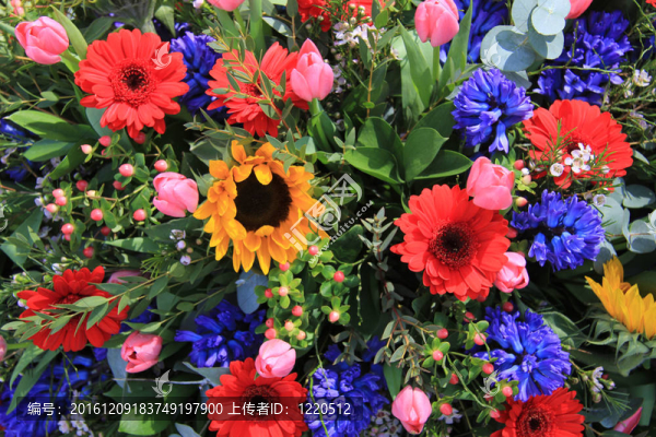 黃色；紅色和藍(lán)色花束