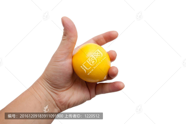 白色背景上的檸檬