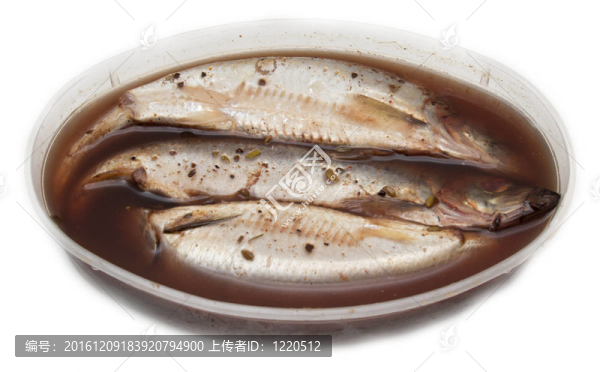 白底咸咸鯡魚