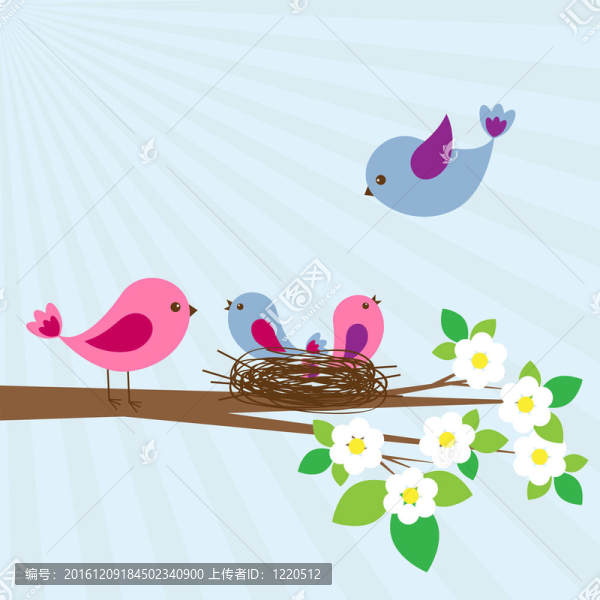 家庭的鳥