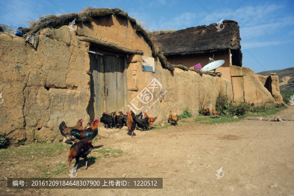 中國的農(nóng)村住宅