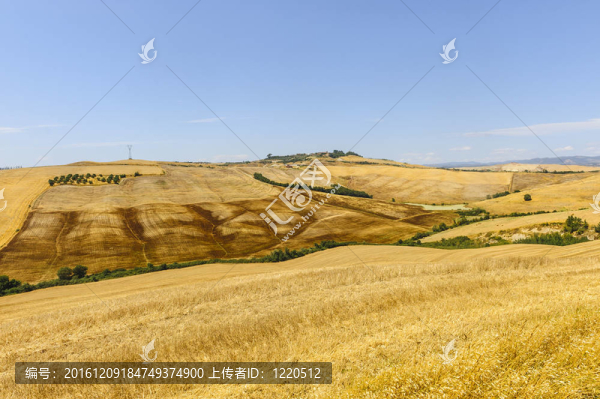 Val,d,Orcia（托斯卡納）景觀
