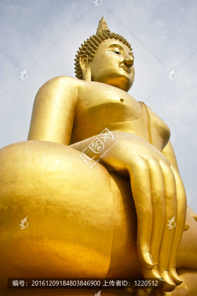 佛在泰國泰廟