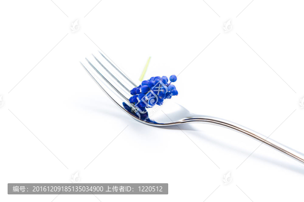 藍薰衣草叉子