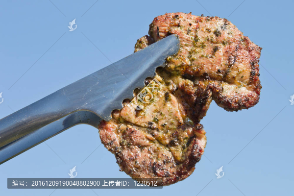 烤的肉