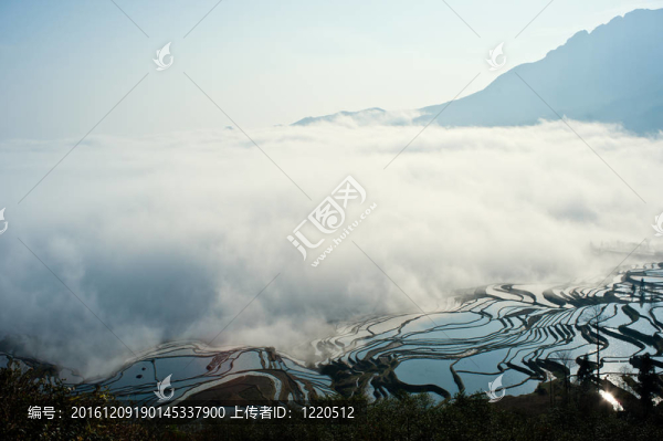 中國(guó)云南元陽(yáng)梯田的顏色；