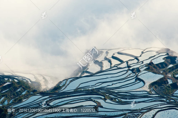中國云南元陽梯田的顏色；