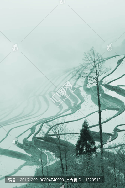 中國(guó)云南元陽(yáng)梯田的顏色；