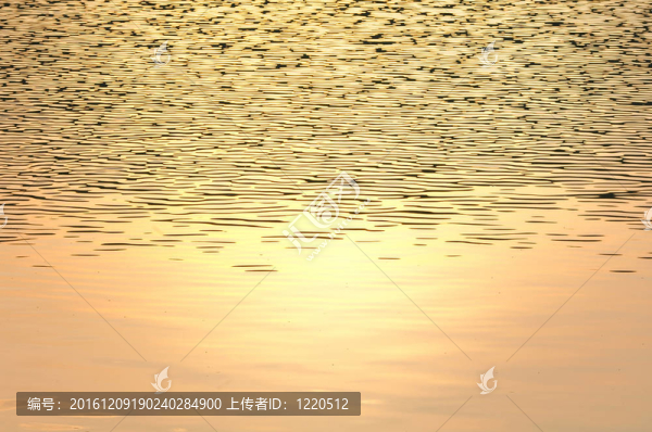水波