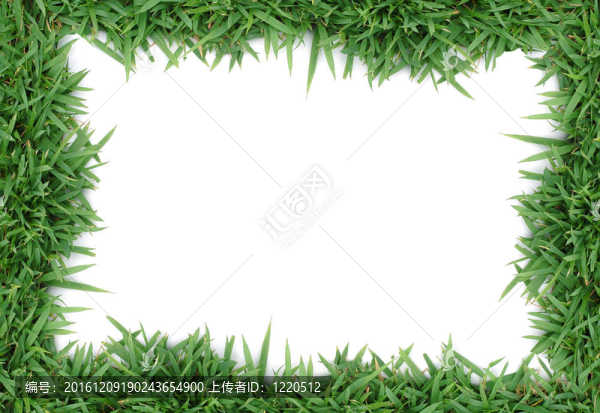 綠色的草中分離