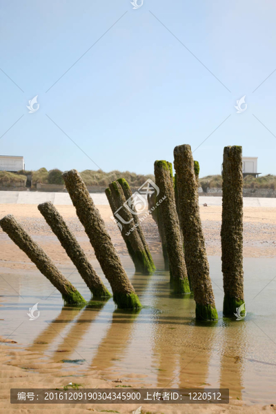維桑海岸線