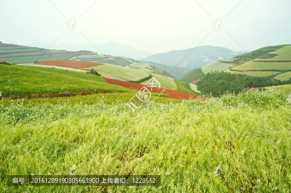 Yunnan,Hani,Terrace；中國(guó)