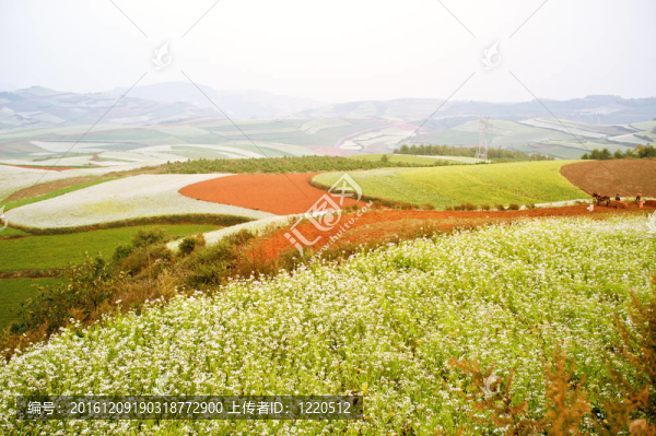 Yunnan,Hani,Terrace；中國