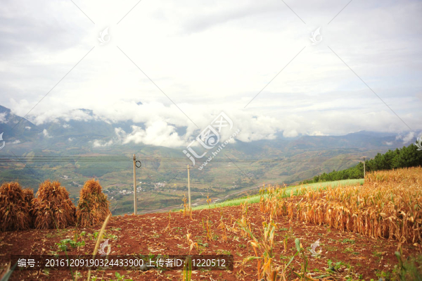 東川；云南紅土階地；
