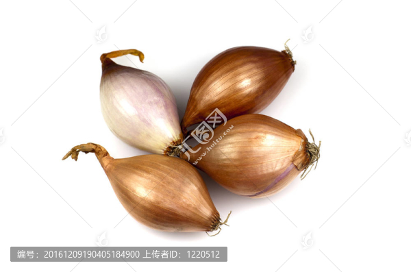 法國的青蔥