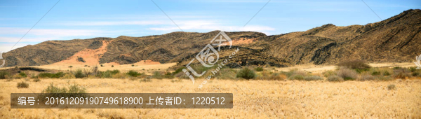 在納米比亞的曠野