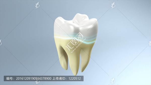 黃牙到白牙