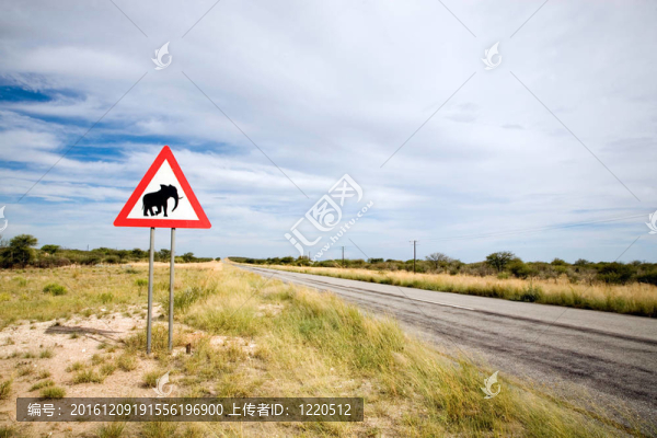危險(xiǎn)大象路標(biāo)