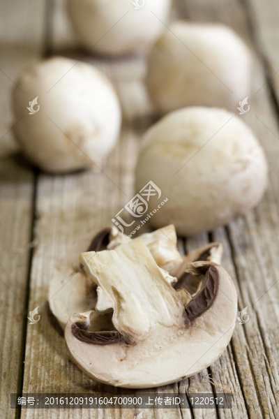 鮮蘑菇
