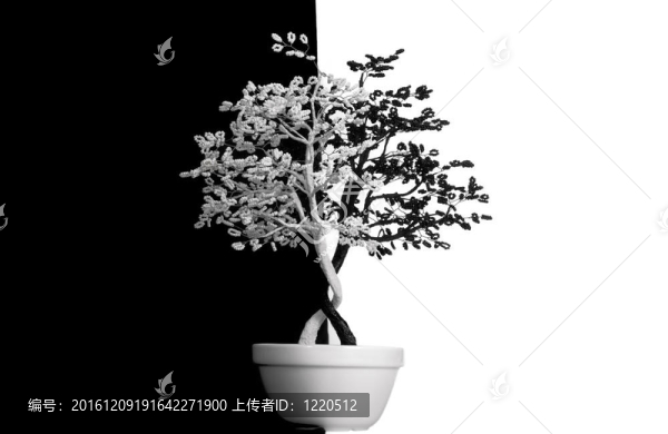 風水觀