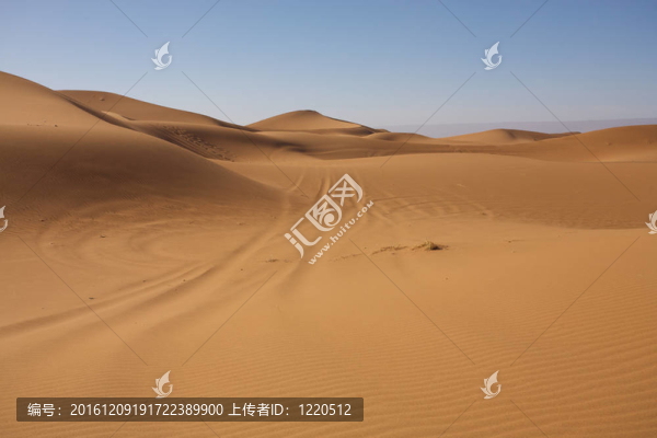 雄偉的沙丘景觀