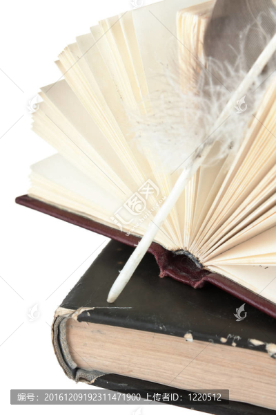 書和筆棧