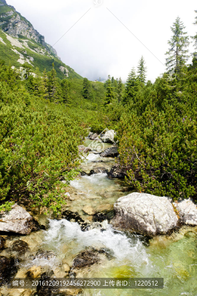 Vysoke,Tatry（高水）；斯洛伐克