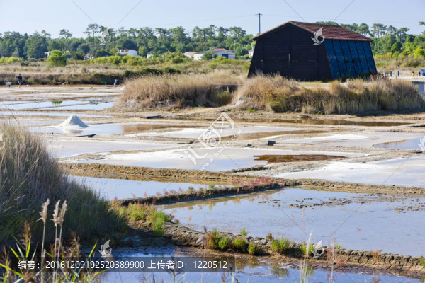 鹽水；港口DES鹽湖；奧列隆島；Poitou,Charentes；法國