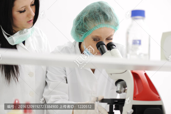兩名女性科學家在實驗室用顯微鏡工作