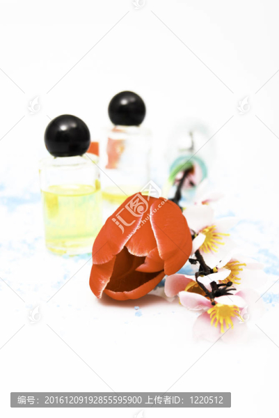 油和花9