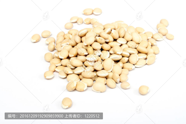 背景大豆
