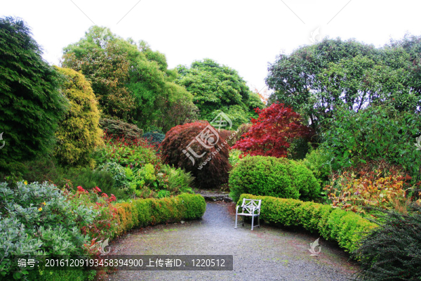 秋天的美麗花園