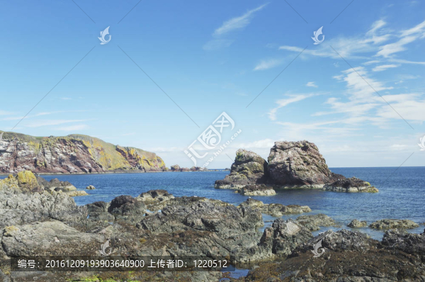 在圣阿布斯懸崖和海岸；貝里克郡