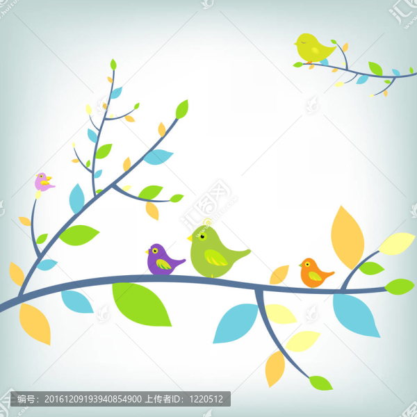 神奇的鳥(niǎo)