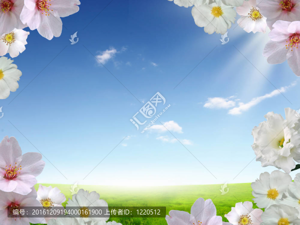 藍天上美麗的花朵