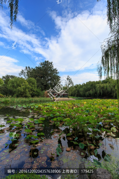 清華大學校園風光近春園