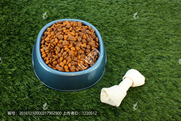 狗食