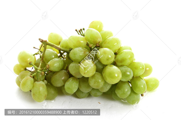 白底葡萄