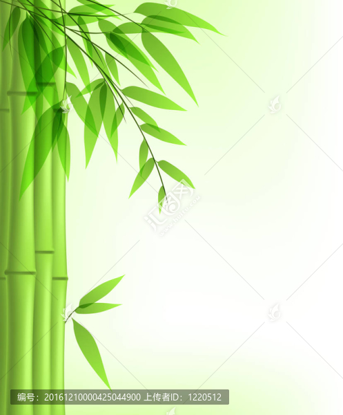 綠色的竹子