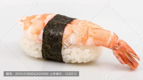 蝦壽司特寫孤立在白色背景