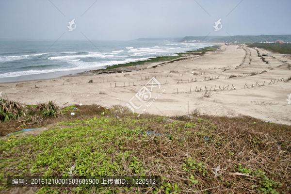 美麗白沙海灘