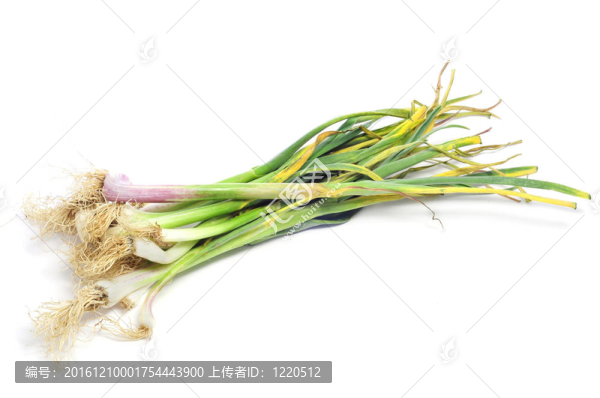 蒜薹
