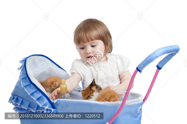 有趣的孩子喂養(yǎng)迷人的小貓從瓶子