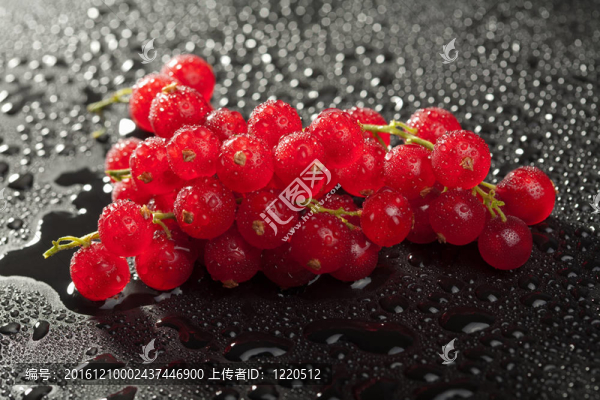 水滴在黑色的紅漿果