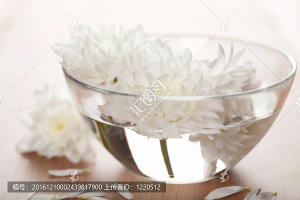白花漂浮在碗里。SPA的背景