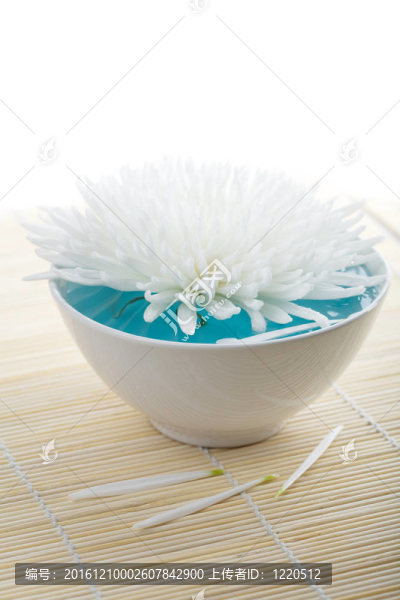 白花浮碗。SPA的背景
