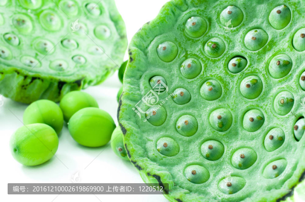 花萼生物水果特寫細(xì)節(jié)